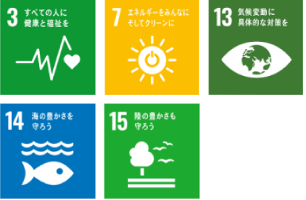 sdgs